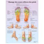 Massage des zones réflexes des pieds