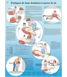 Planche Gestes de premières urgences