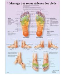 Massage des zones réflexes des pieds