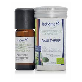 GaulthÃ©rie (Wintergreen)