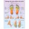 Massage des zones réflexes des pieds